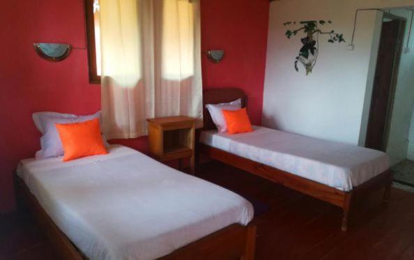 Go Andasibe Hotel Extérieur photo