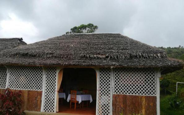 Go Andasibe Hotel Extérieur photo
